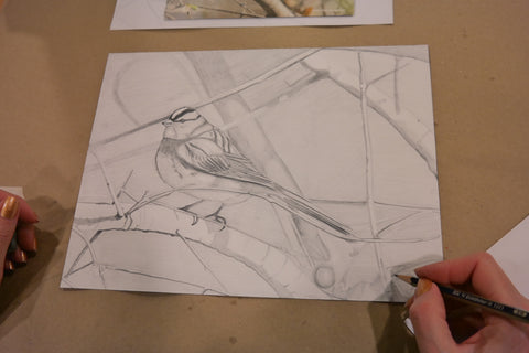 Adult Sketching & Painting