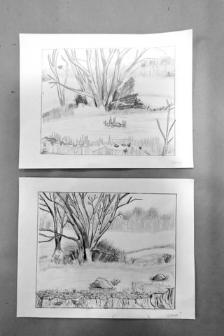 Adult Sketching & Painting